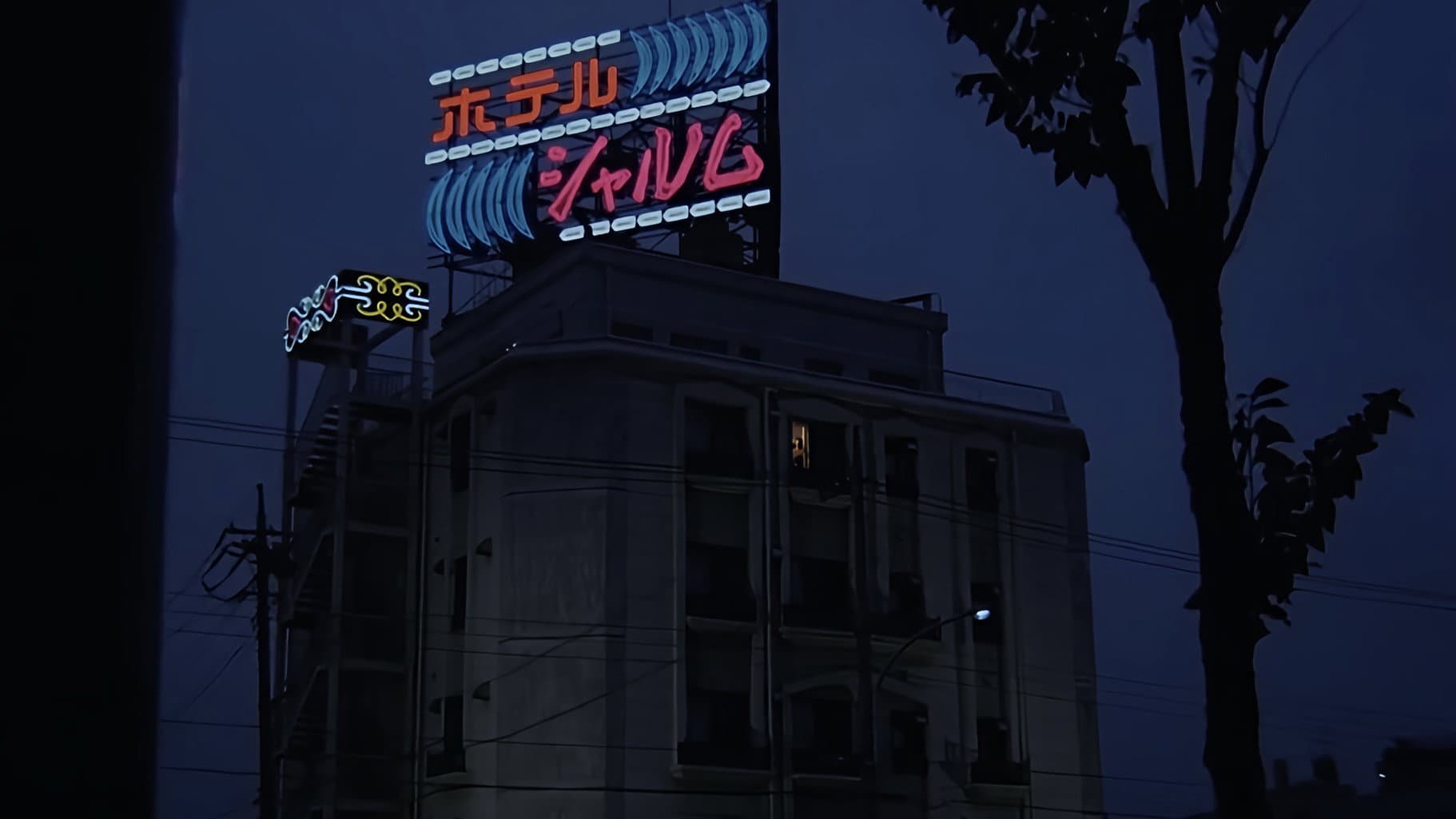ラブホテル　只今満室