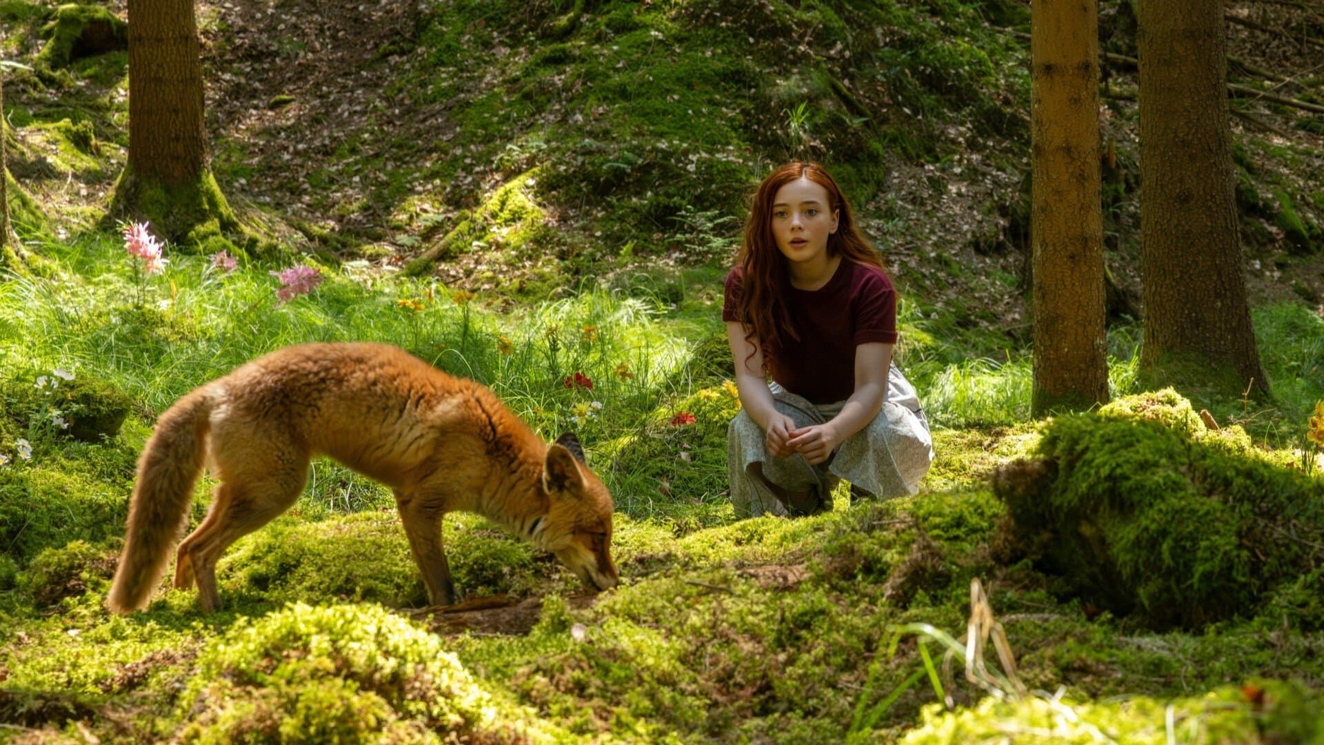Willow e a Floresta Encantada